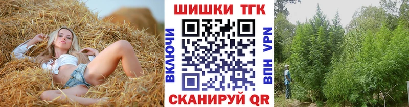 Где купить Лениногорск Alpha PVP  Метамфетамин  Меф мяу мяу  гидра ТОР  COCAIN  Каннабис  ГАШИШ 