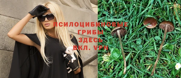 мдпв Видное