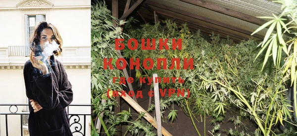 дурь Аркадак