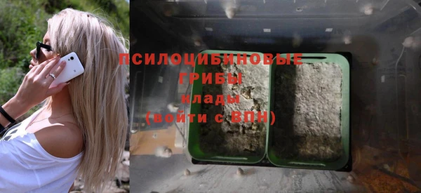 дурь Аркадак
