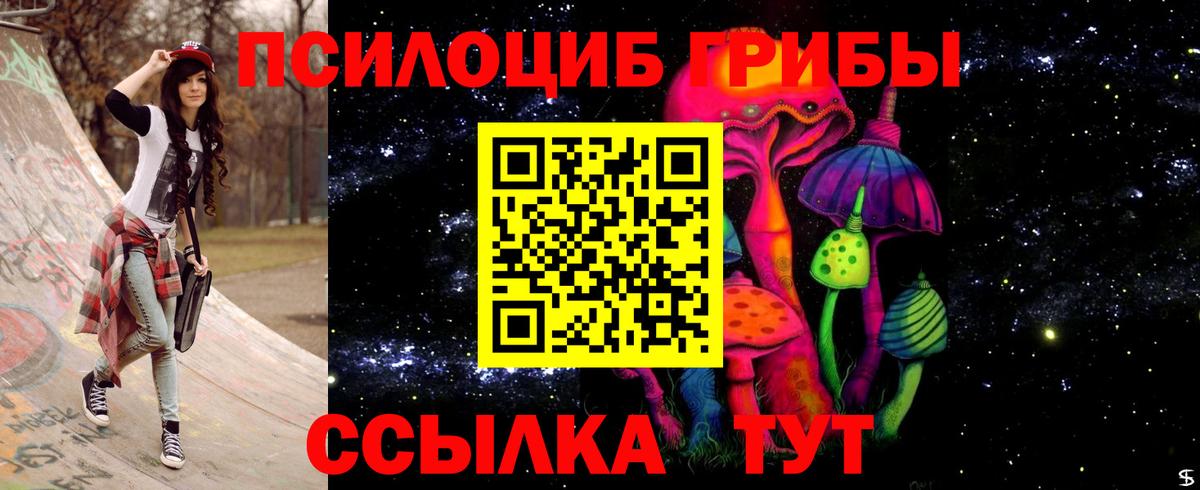 Псилоцибиновые грибы Psilocybe Лениногорск